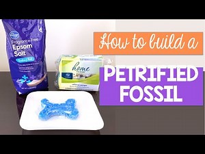 Build a Petrified Fossil
