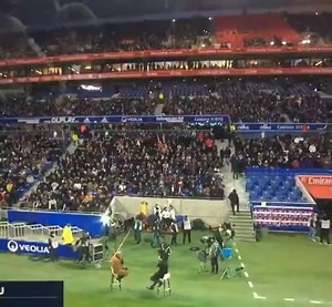 Capo of Lyon slapping one of the ultras because he threw a bottle in Payet's face. Lyon - Marseille 21.11.2021 #lyon #marseille #om #cu84 #winnersOM #ultras #ultrastyle #hooligans #hools | Hooligans Style