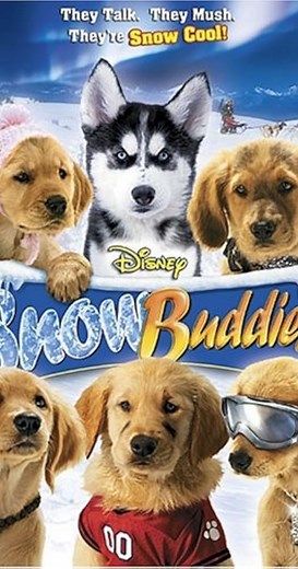 Snow Buddies (Video 2008) ⭐ 5.1 | Adventure, Family