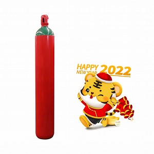 [Hot Item] Hot Sale Ig100 Fire Suppression System Fire Fighting CO2 Gas Cylinder