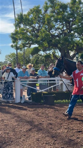 It’s time! All eyes are on the field for the Santa Anita Derby. Who’s your pick in the @KentuckyDerby prep race? 🌹