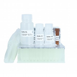 [Hot Item] 32 Test Stool Soil Genomic DNA Extraction Kit Nucleic Acid Extraction Kit