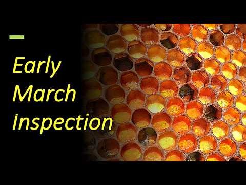 Early Spring Beekeeping