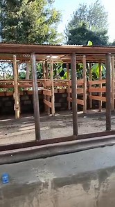 For such simple,smart, durable and Equal to task Modern cowshed WhatsApp number 254798187466 | Martha Njambi dairy farm