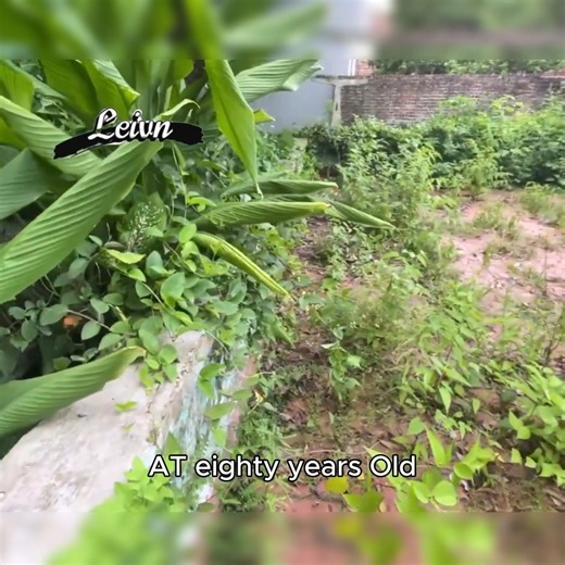 3.8K views · 120 reactions | A picture was drawn on the grave with...