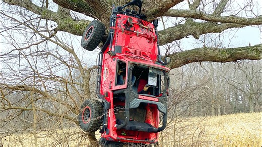 We drove a Jeep up a tree - a very expensive mistake