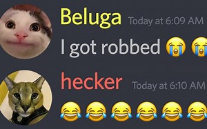 当beluga被抢劫了........