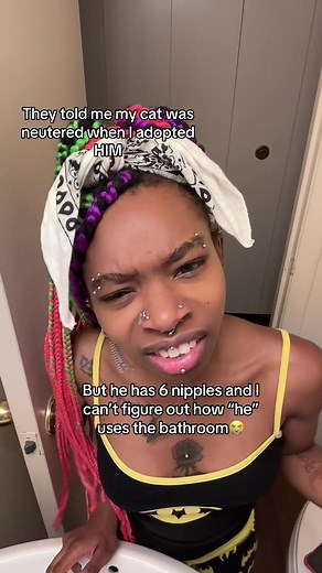 Rey start addressing them as THEY no cap😭 I feel so bad for misgendering my cat BUT THEY SAID THEY ARE A MALE CAT SO IM LOST😭🤚🏾#creatorsearchinsights