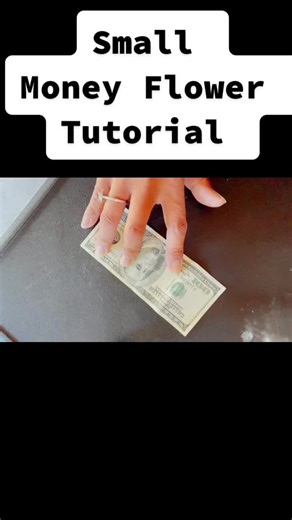 Small Money flower tutorial 🌸 #moneyflower #graduationmoneylei #moneyorigami #howto #crafttiktok #graduation2021 #moneylei #letsmake #ilovetocraft