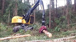 10K views · 371 reactions | Tigercat LS855C with a Satco SAT325E felling head | Forestry Equipment in Action | Facebook