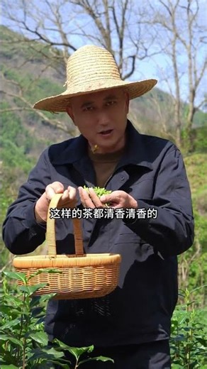 First Spring Tea Pick: Our Journey Uninterrupted