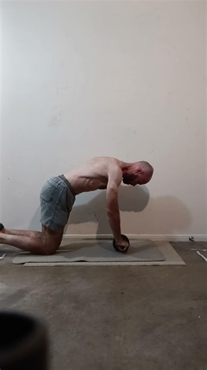 Ab roller exercise