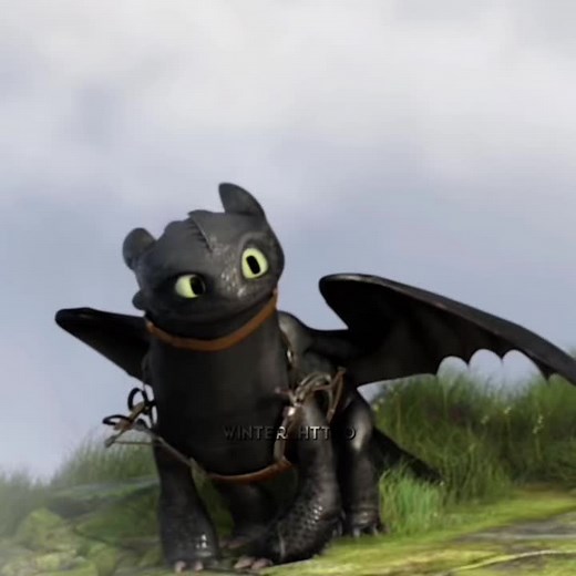 Comparing Toothless and Light Fury Funny Memes