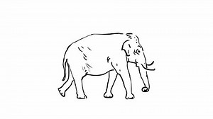 Walking Elephant Seamless Loop Animation Stock Footage Video (100% Royalty-free) 1081132088 | Shutterstock