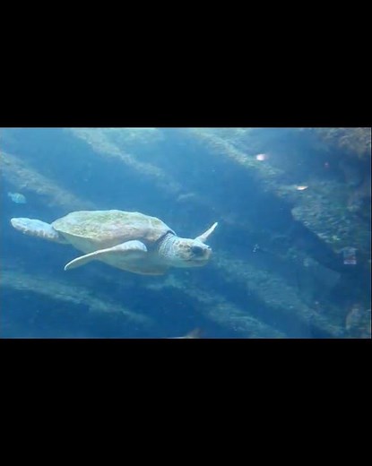 Stay at Durban Spa & Explore uShaka Marine World