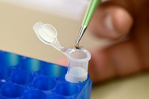 Dengue fever map: Where the disease is spreading