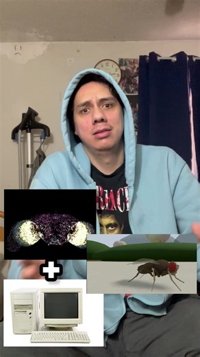 La Mosca en la Simulación: Un Análisis Humorístico