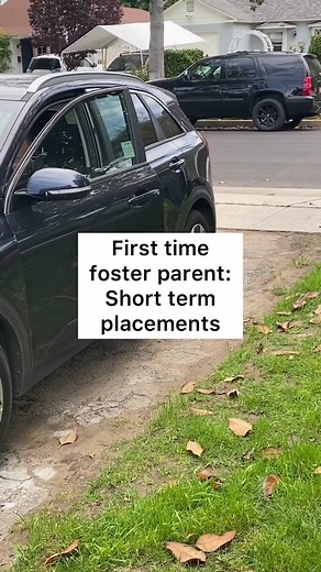 Local Support in Fostering: A Key to Long-Term Success