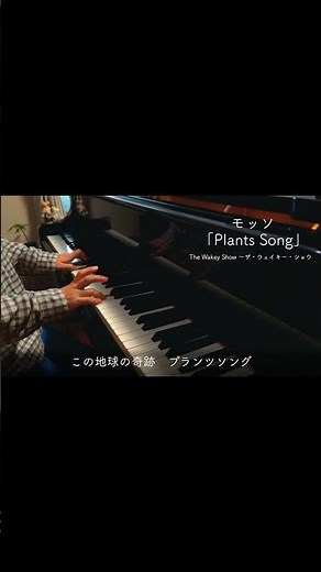 Piano「Plants Song / Mosso」The Wakey Show