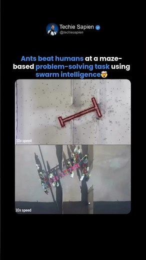 Ants Beat Humans at Problem Solving Using Swarm Intelligence 🤯🐜