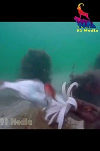 Great things in life | Free life