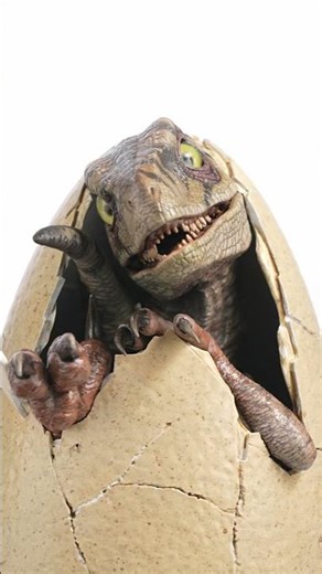 Jurassic Park III White Queen Egg Hatching