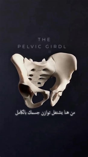 14K views · 279 reactions | anatomie ⬇️⬇️ | شبه طبي - paramédical | Facebook