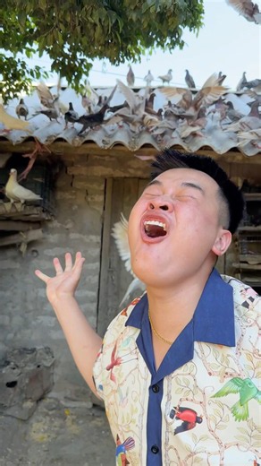 Đây là ít ít ít #funny #comedy