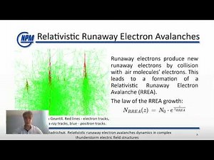 Relativistic runaway electron avalanches dynamics in complex thunderstorm electric field structures