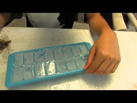 How to Remove Ice Cubes from Icetray easy!