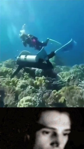 Earthquake while diving in the ocean #shorts #ytshorts #earthquake #diving