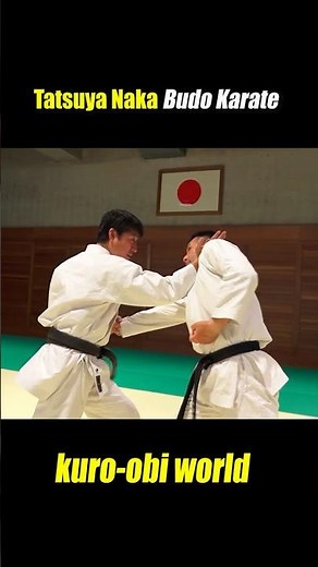 Strike and throw! How to use kata in a fight【Budo Karate】