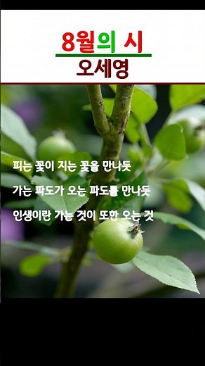 ⇧Watch the Full Video | August | Poem by Oh Se-young | Prayer for August | Recited by Bong Kyung-...