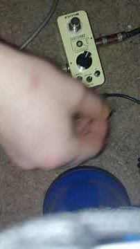 *Update!!!* Mooer envelope filter DOES work!!! (Pretty good too)