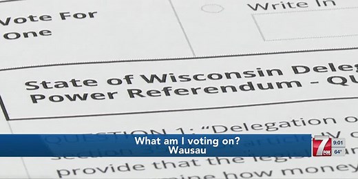 Understanding the referendum questions you’ll see in the August primary