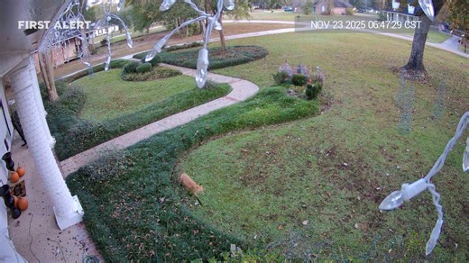 Yes we still have our Christmas lights up...and we also have a little visitor. Our outdoor Cameras caught this little guy .....Wow he is close to our house.....and look the snow melted.......HaHa... Just helping you keep an eye on your home.. Thumb Alarm Systems Inc 1675 N Lapeer Rd Lapeer Mi 48446 810-664-6606 | Thumb Alarm Systems