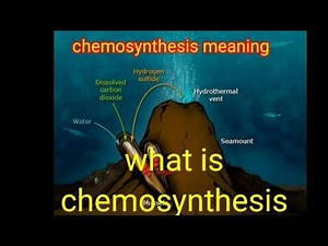 chemosynthesis || chemosynthesis definition|| chemosynthesis in hindi|| #chemosynthesis