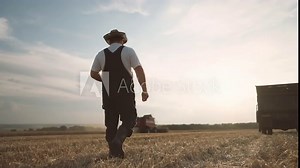 Harvester combine works in farmland, farmer walking and controlling crop picking . Agricultural technology, innovation and traditions, back view of professional agronomist examining rye fields