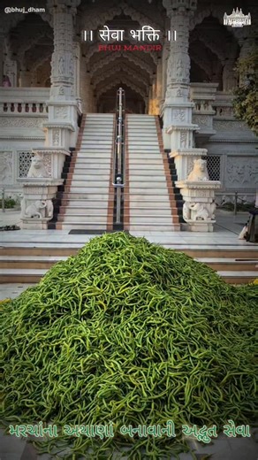 BHUJ_DHAM (ભુજધામ)™ on Instagram: "સેવા :- અદ્ભુત મરચાંના અથાણાં બનાવવા.... | BHUJ DHAM (ભુજધામ) | . #bhuj_dham #trendingtopic #insights #viral #instagramreels"