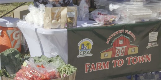 New farm to town initiative in Panama City