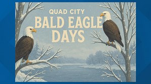 Bald eagle days return to Quad Cities Jan. 9–11