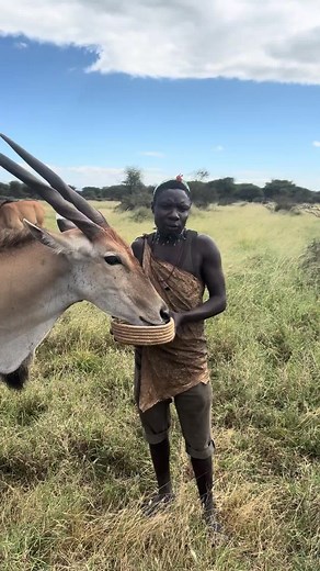 Chaba Feeds the Eland — Wild Rescue or Hunter’s Wish?