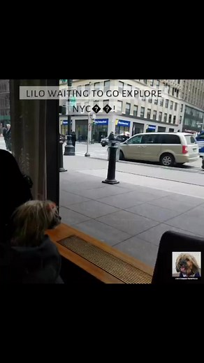 Tammy Hernandez on Reels