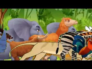 animal stampede video animated animal Kingdom zoo animals animals running