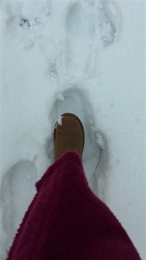 Lady love makes the frozen walk to the outdoor shower. #offgrid #outdoorshower #montana #missoula