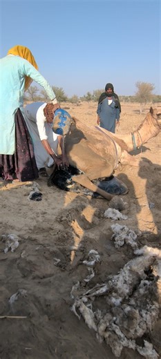 مساعدة بسيطة تجعل العمل أسهل