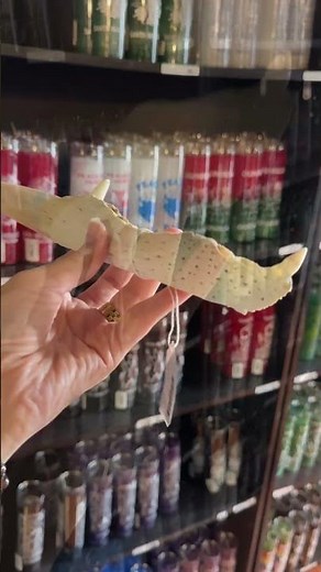 🐊 Alligator jaw bone knife