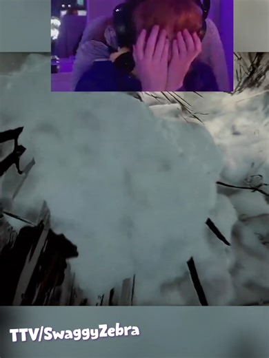 the comedic timing of this was insane... this was streamed on twitch, like to my twitch & others is down below! twitch - https://www.twitch.tv/swaggyzebra Main youtube - https://www.youtube.com/channel/UCUY05myuMDygZ1cg_REUfbA/ tiktok - https://www.tiktok.com/@swaggyzebrattv Easyboarders twitch - https://www.twitch.tv/easyboarder EasyBoarders YT - https://www.youtube.com/@easyboarder #gaming #shorts #twitch #twitchstream #twitchstreamer #sonsoftheforest #trending #trendinggames #valheimgaming #f