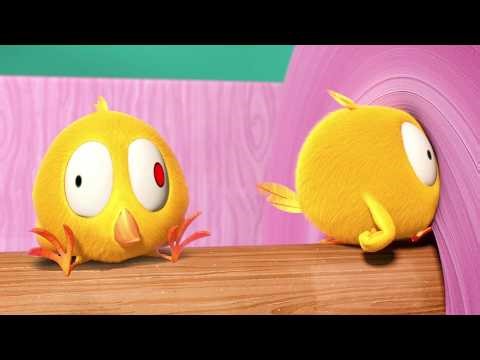 Chcky haciendo travesuras 🐥 ¿Dónde está Chicky? | Dibujos Animados en Español