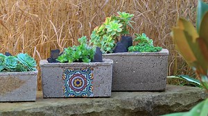 110 reactions · 21 shares | In this video, Tanya shows us how make our own creative and functional hypertufa pots using a concrete mix. The Home Channel | #hypertufapots #tanyavisser #makeyourown #weekendproject #doityourself #pottedplants #thehomechannel #potsforplants | The Gardener Magazine | Facebook